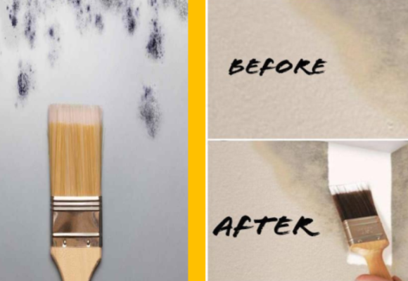 Antifungal Paint